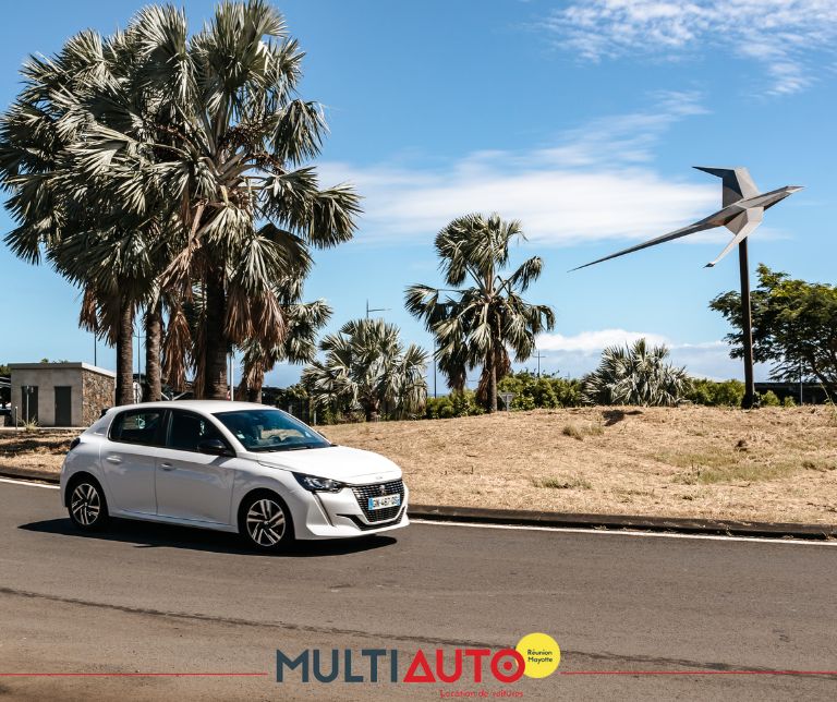 Voiture idéale pour un voyage d'affaires à La Réunion